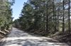 00 Piney Woods Rd photo